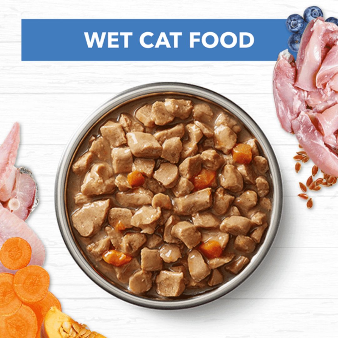 Ivory Coat Grain Free Mature Adult Wet Cat Food Chicken & Ocean Fish in Gravy