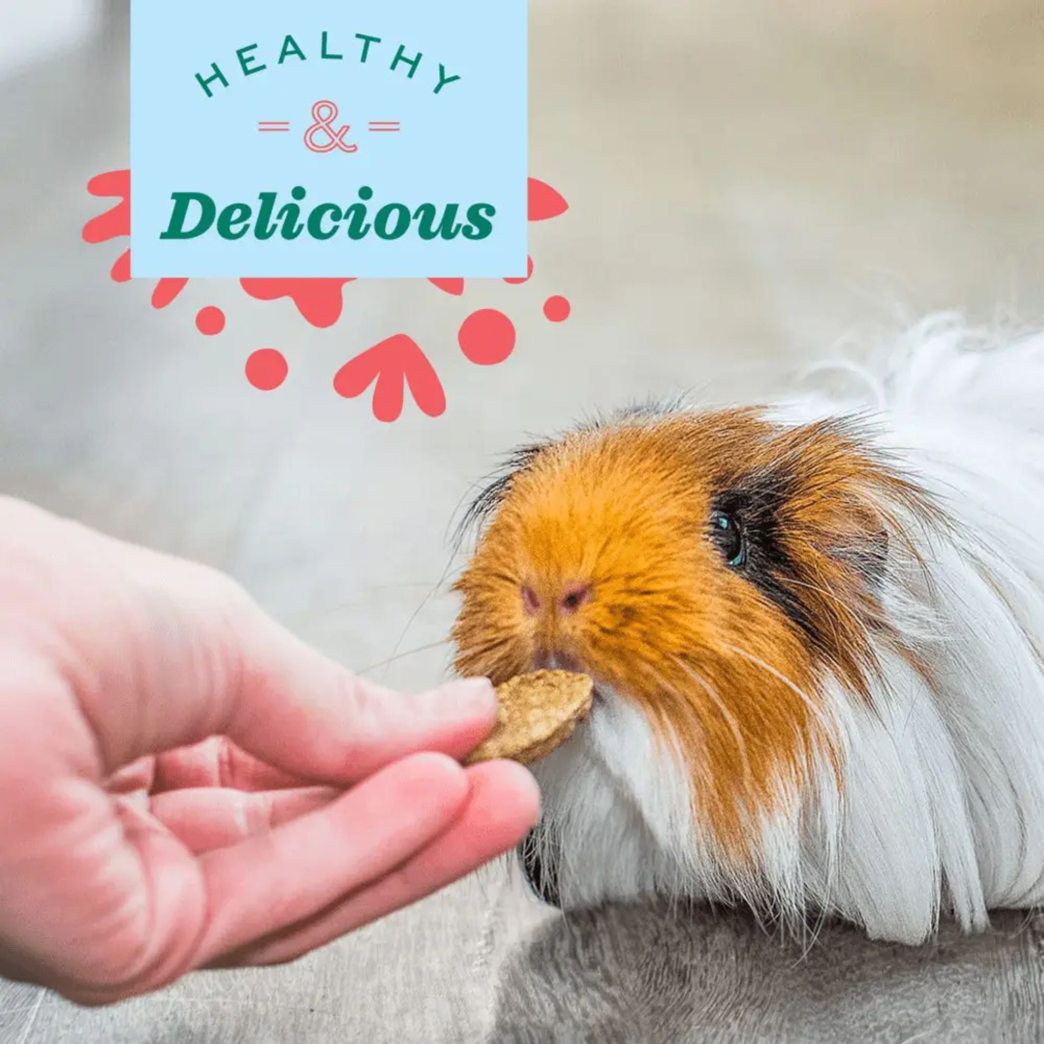 Oxbow Natural Science Joint Support