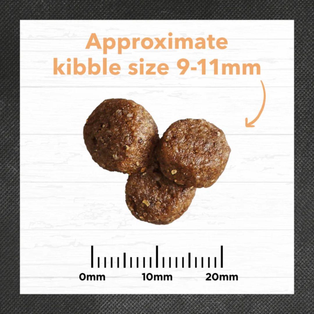 Ivory Coat Holistic Nutrition Puppy All Breeds Dry Dog Food Chicken & Brown Rice