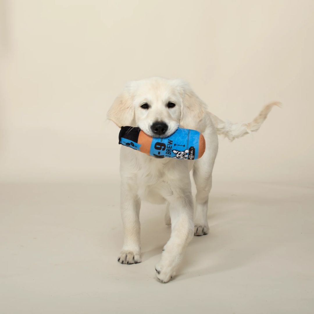 Fringe Studio Plush Squeaker Dog Toy - K-9 Cold Brew | PeekAPaw Pet Supplies