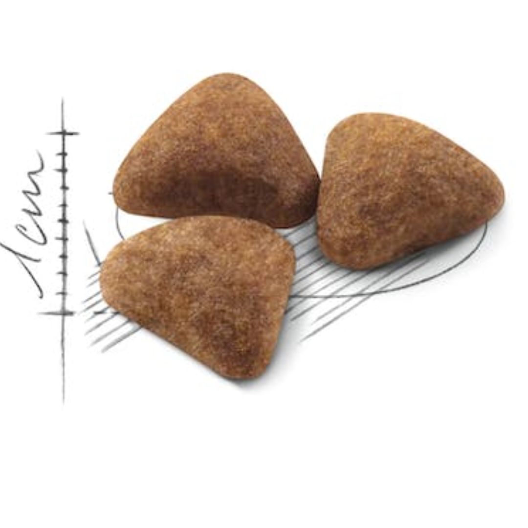 Royal Canin Indoor | PeekAPaw Pet Supplies