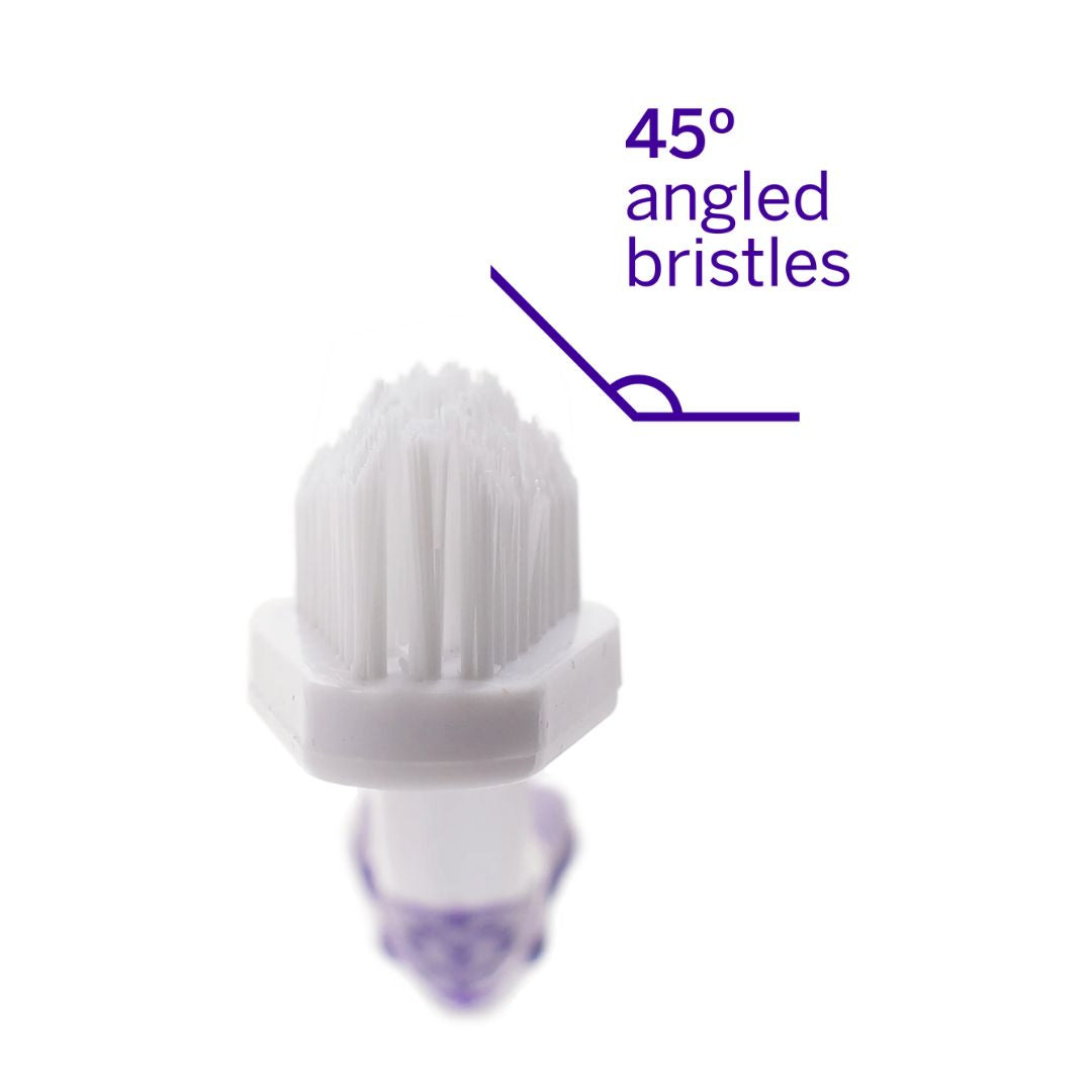 Petsmile Professional Pet Toothbrush - Patented 45° Dual-Ended Brush Head