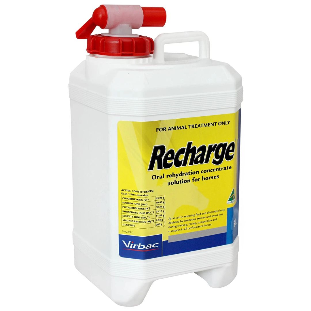 Virbac Recharge The Sports Drink for Horses - 5L | PeekAPaw Pet Supplies