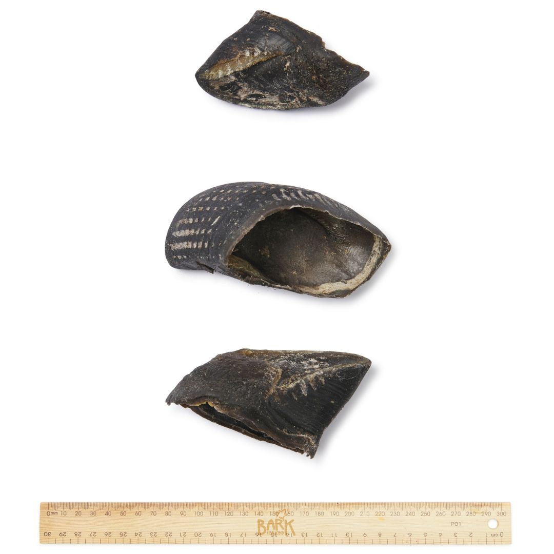 Bark & Beyond Cow Hooves | PeekAPaw Pet Supplies