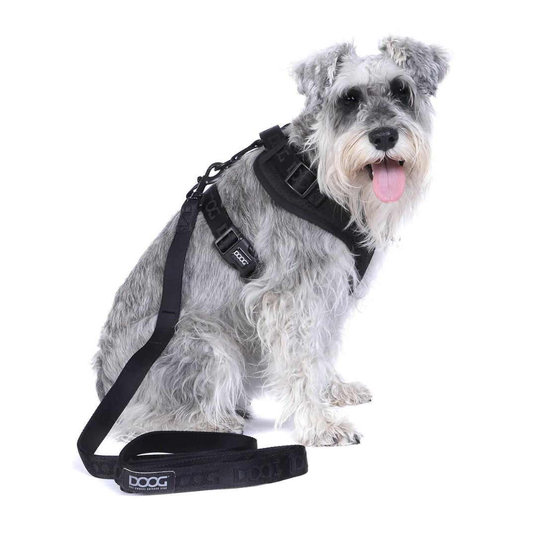 Doog Neosport Dog Soft Harness - Black