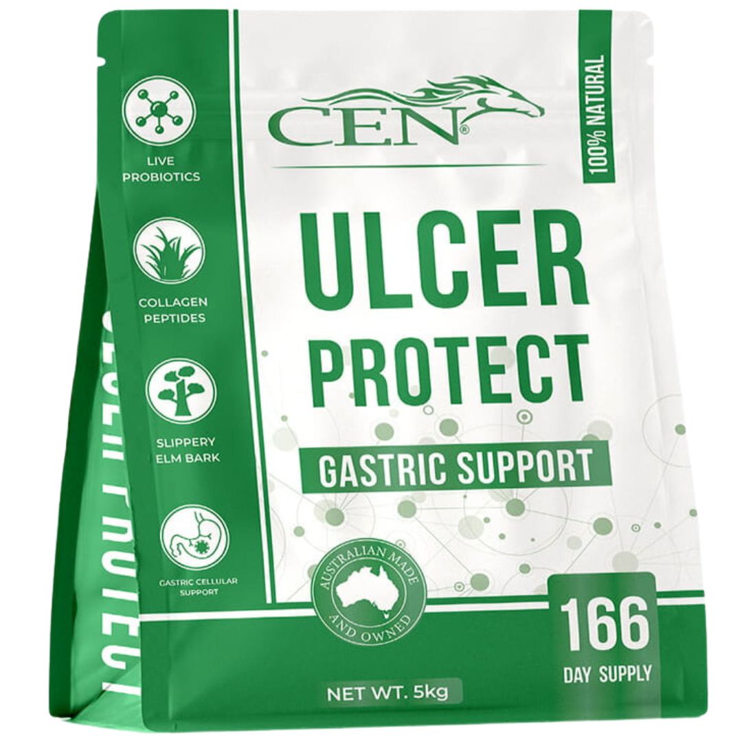 Cen Ulcer Protect Horse Supplement - 5kg | PeekAPaw Pet Supplies