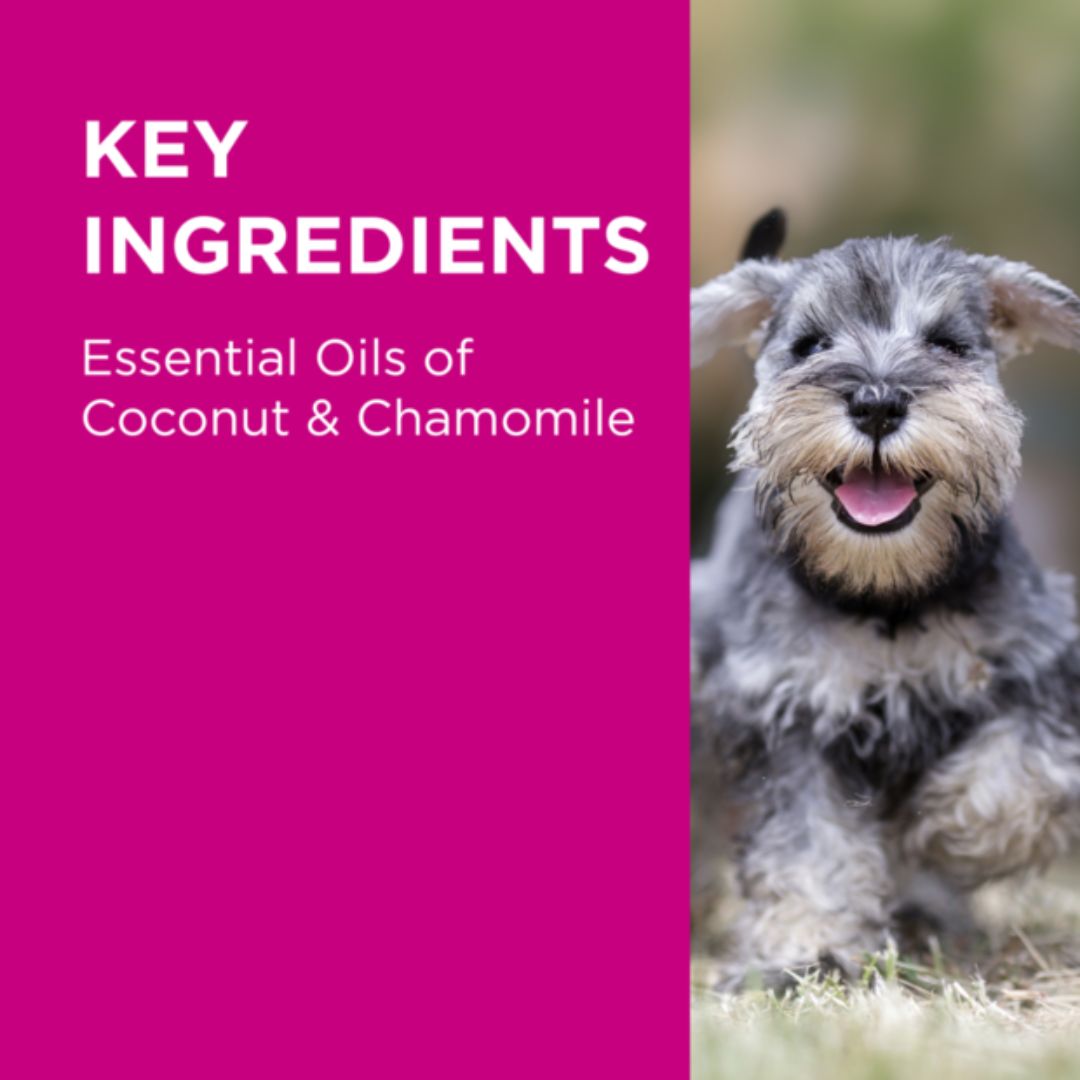 PAW by Blackmores Gentle Puppy Conditioning Spray