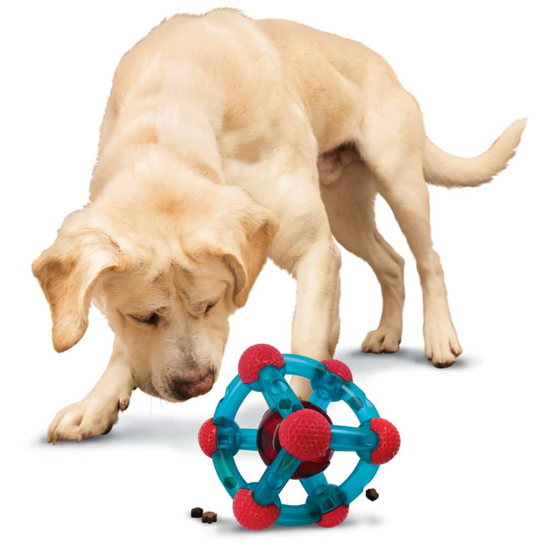 KONG Dog Toys Rewards Tinker | PeekAPaw Pet Supplies