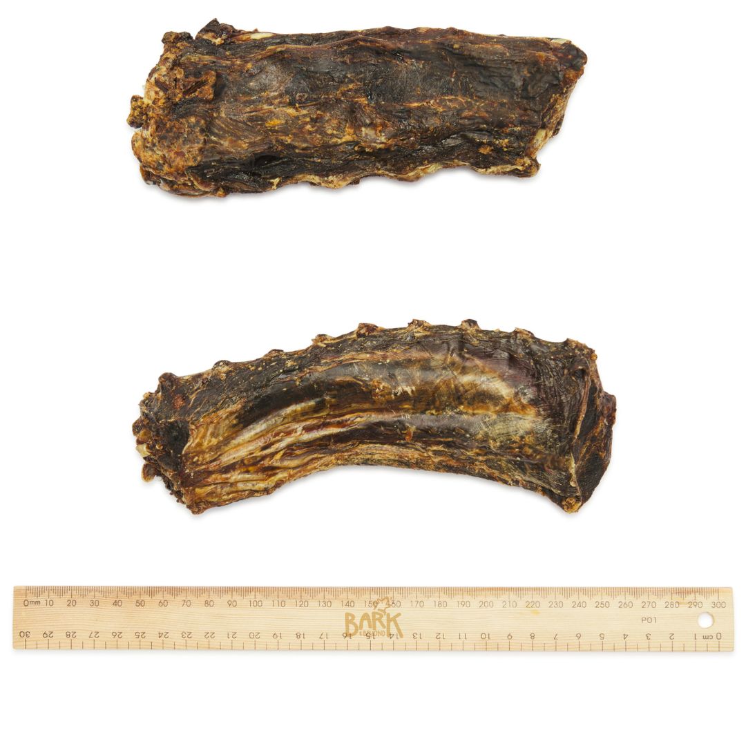 Bark & Beyond Roo Tail | PeekAPaw Pet Supplies