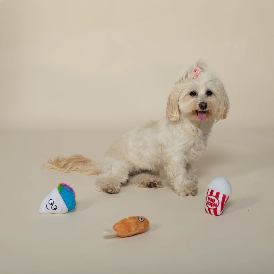 Fringe Studio Plush Dog Toy - Fair Foods  | PeekAPaw Pet Supplies