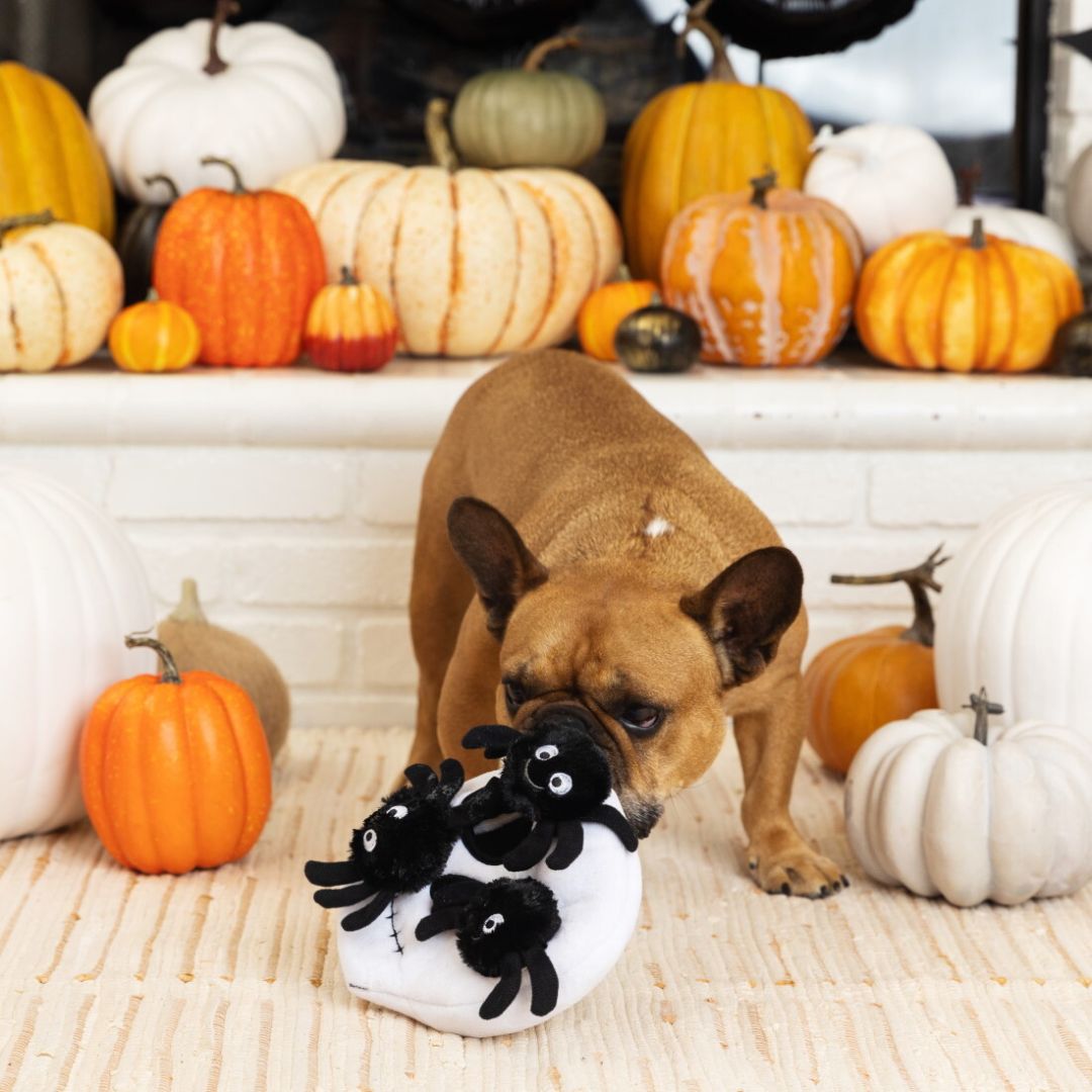 Fringe Studio Halloween Plush Squeaker Dog Toy - Skull Burrow + 3 Spiders  | PeekAPaw Pet Supplies