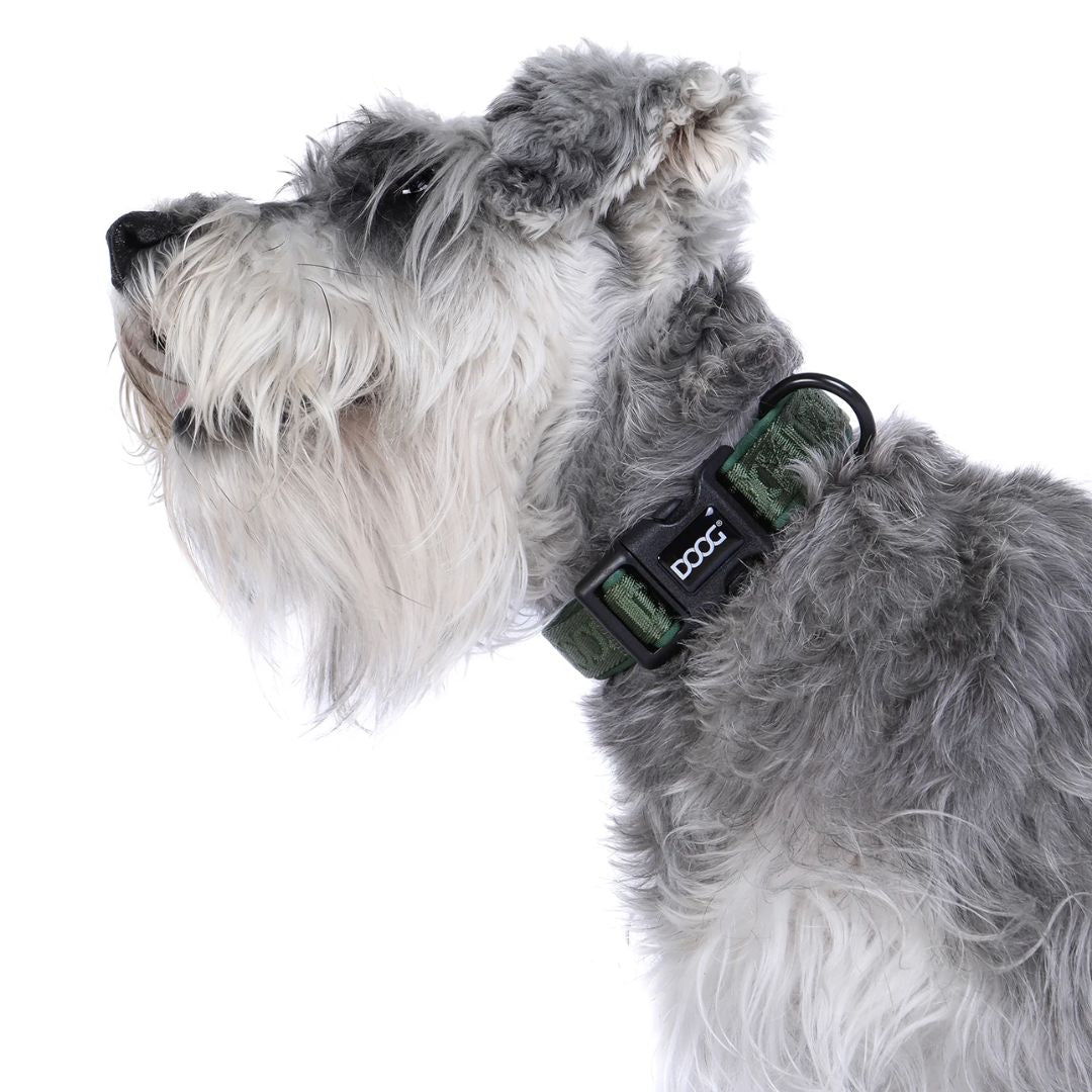 Doog Neosport Neoprene Dog Collar - Olive Green  | PeekAPaw Pet Supplies