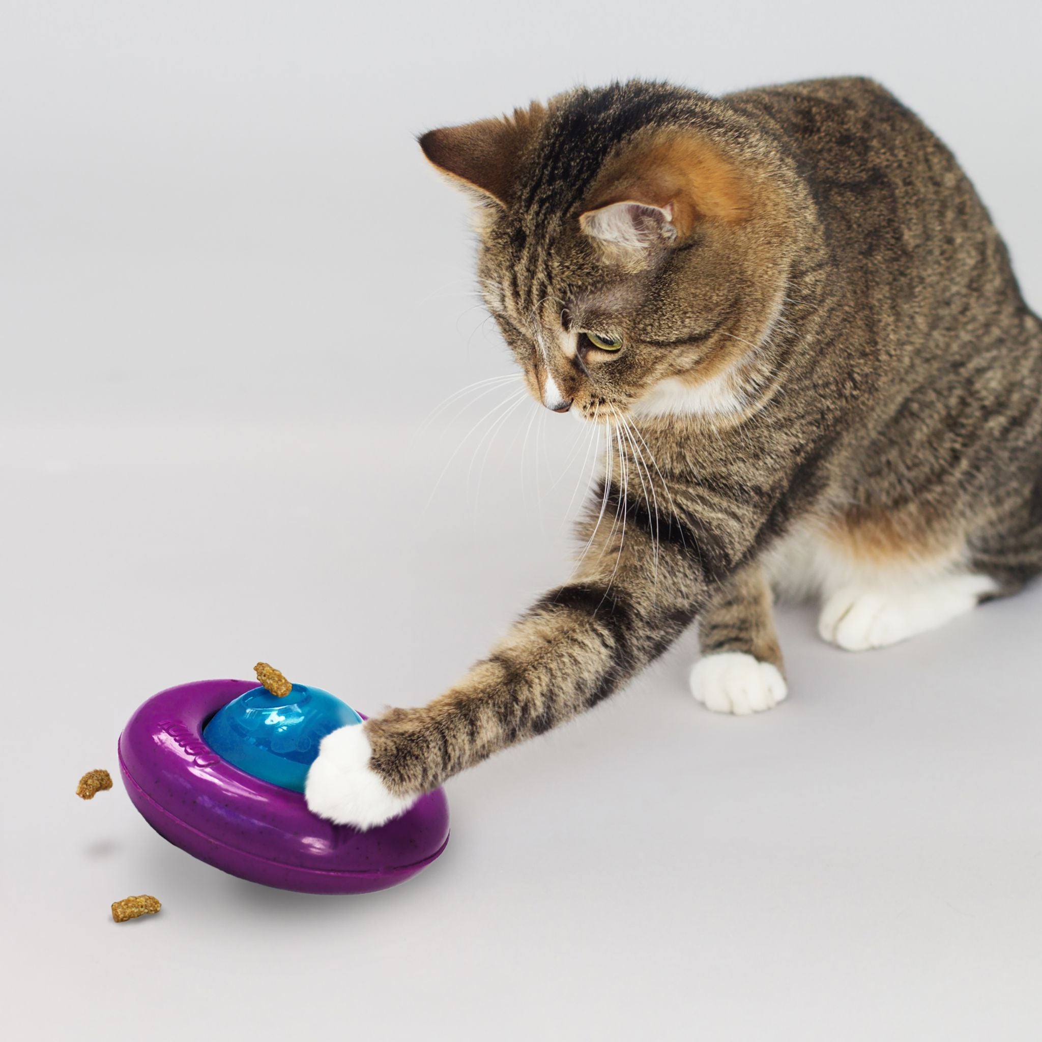 KONG Cat Infused Gyro Cat Toys