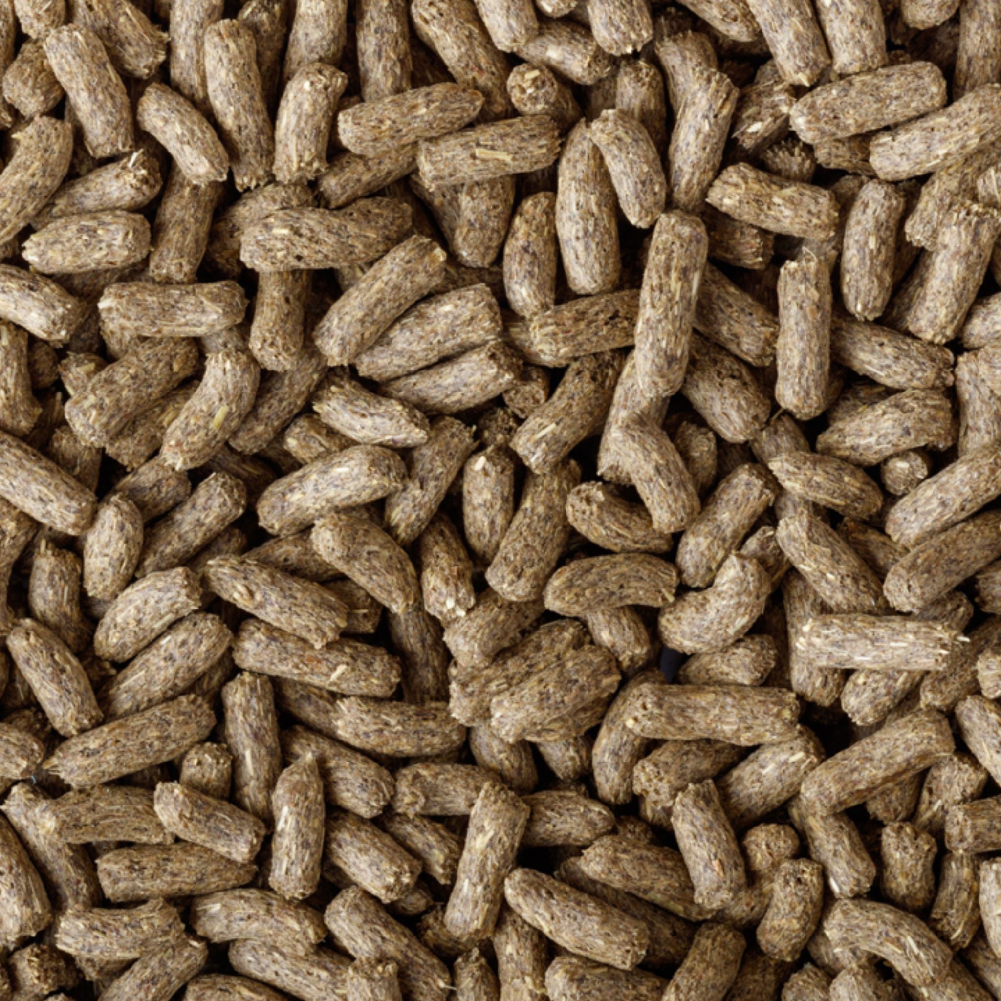 Exo Terra Bearded Dragon Food Juvenile Soft Pellets