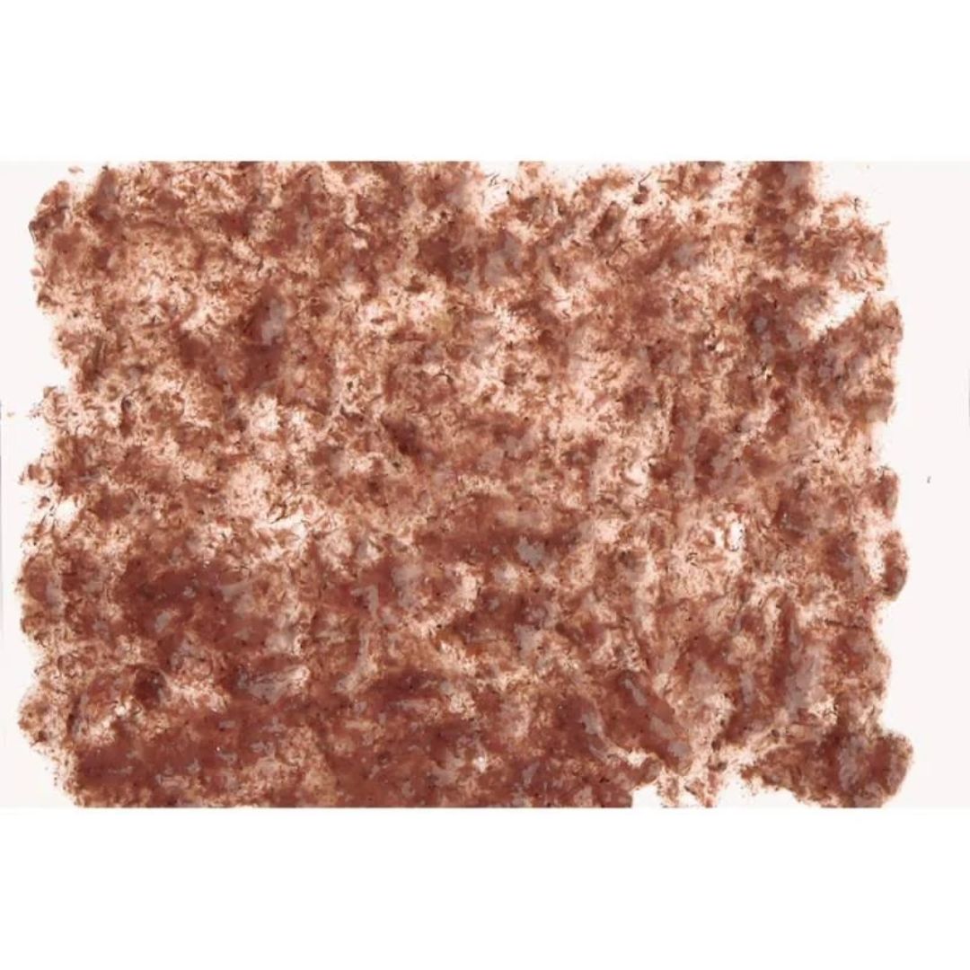 Tetra Fresh Delica Brine Shrimps