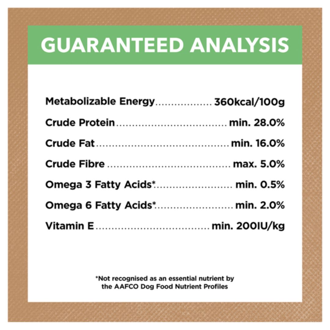 Ivory Coat Grain Free Puppy Large Breed Dry Dog Food Lamb