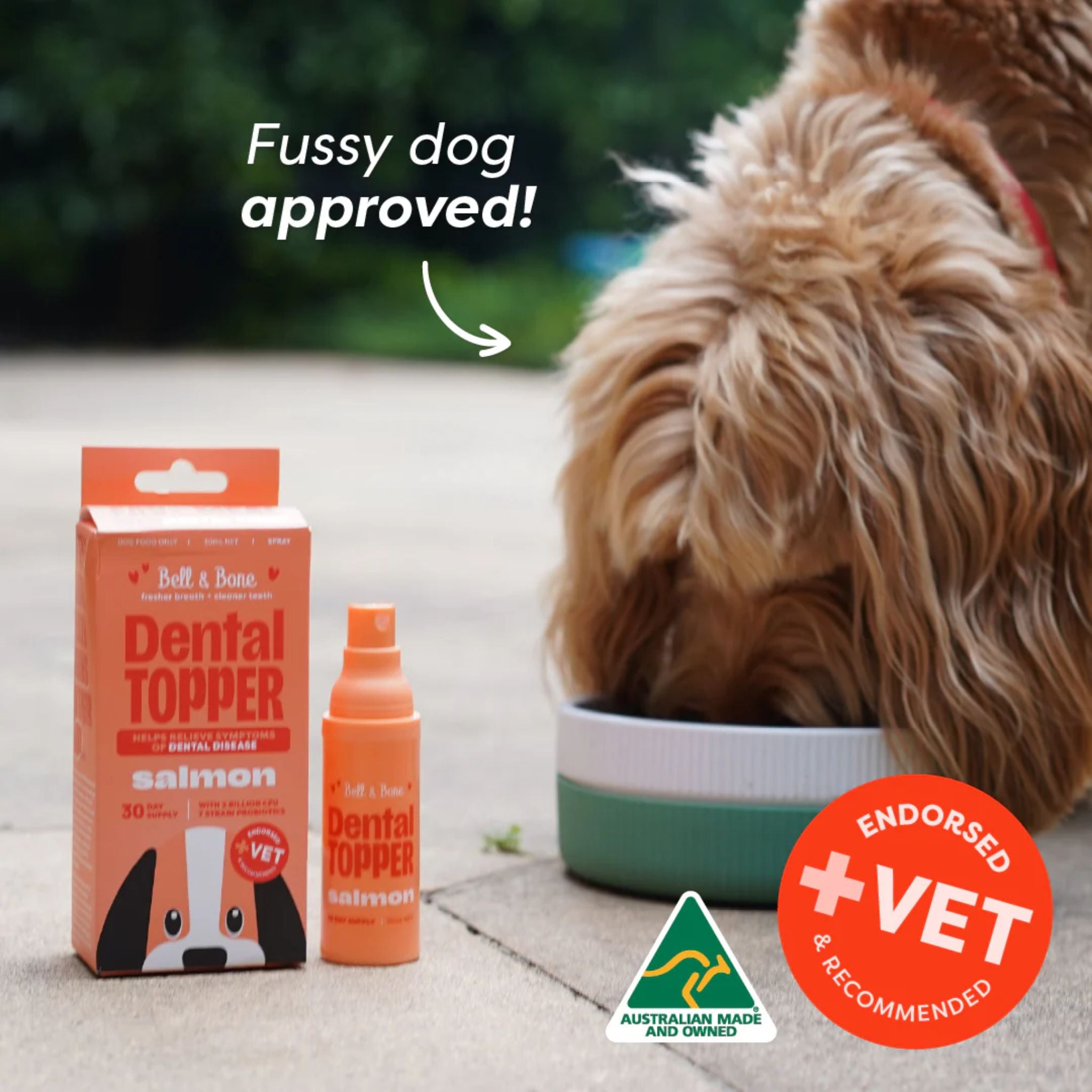 Bell and Bone Dog Dental Topper - Salmon