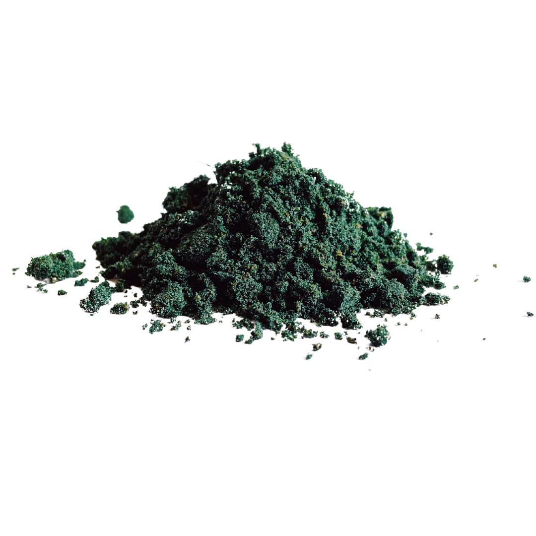 Norm Spirulina And Chicken Heart Freakshake | PeekAPaw Pet Supplies