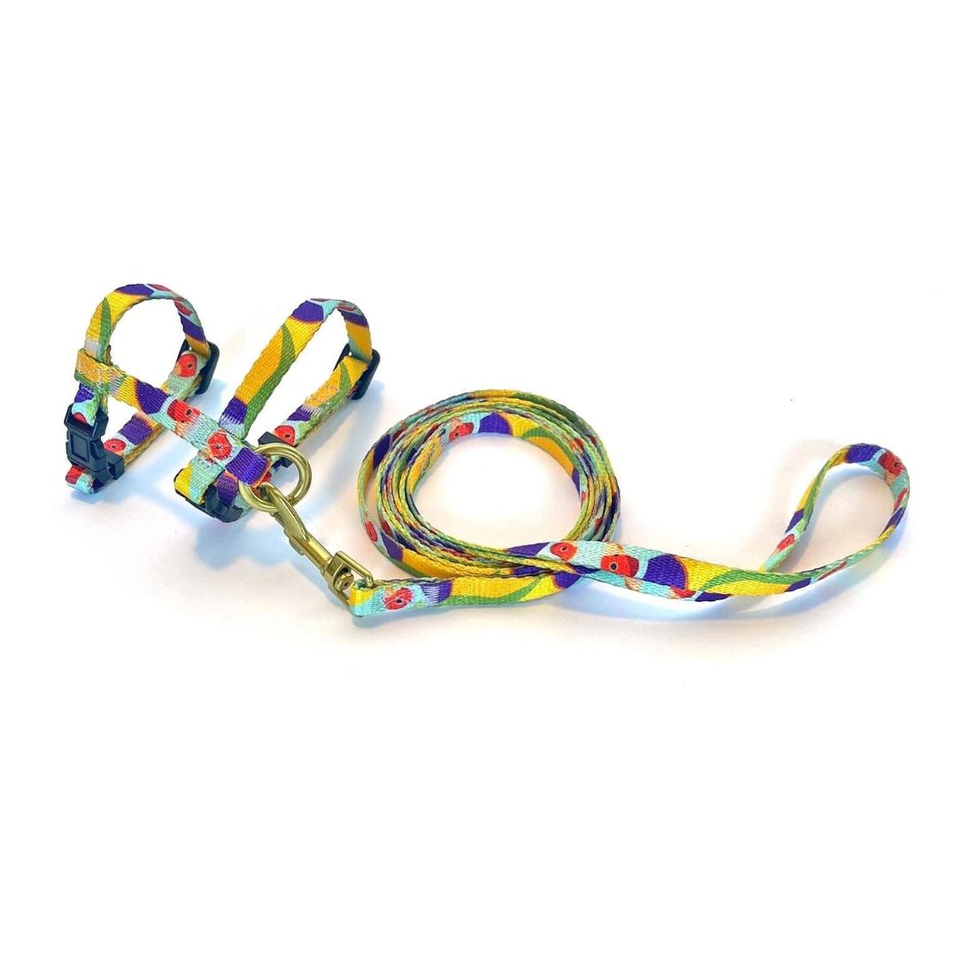 Anipal Gigi the Gouldian Finch Cat Harness & Lead | PeekAPaw Pet Supplies