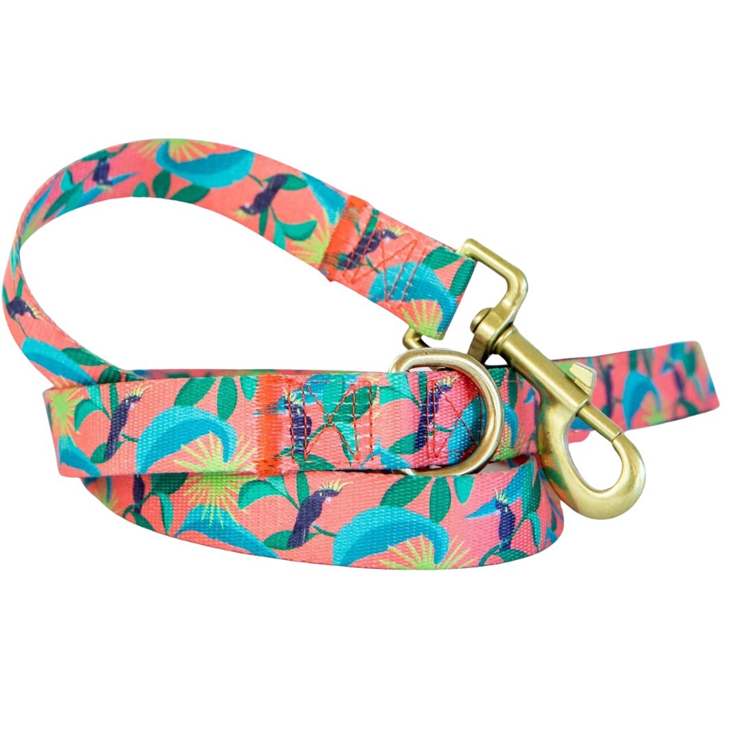 Anipal Clancy the Black Cockatoo Dog Leash