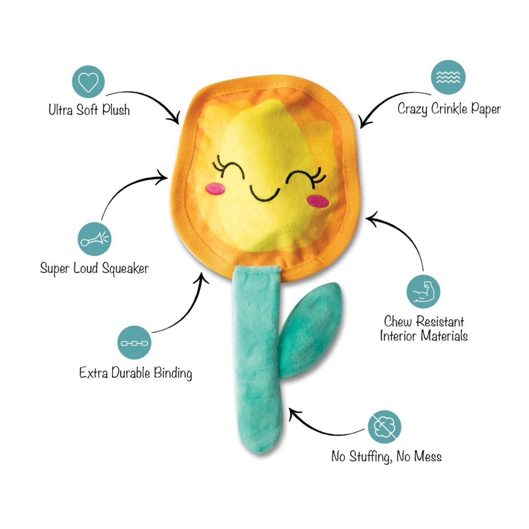 Fringe Studio Plush Squeaker Dog Toy - In Full Bloom | PeekAPaw Pet Supplies