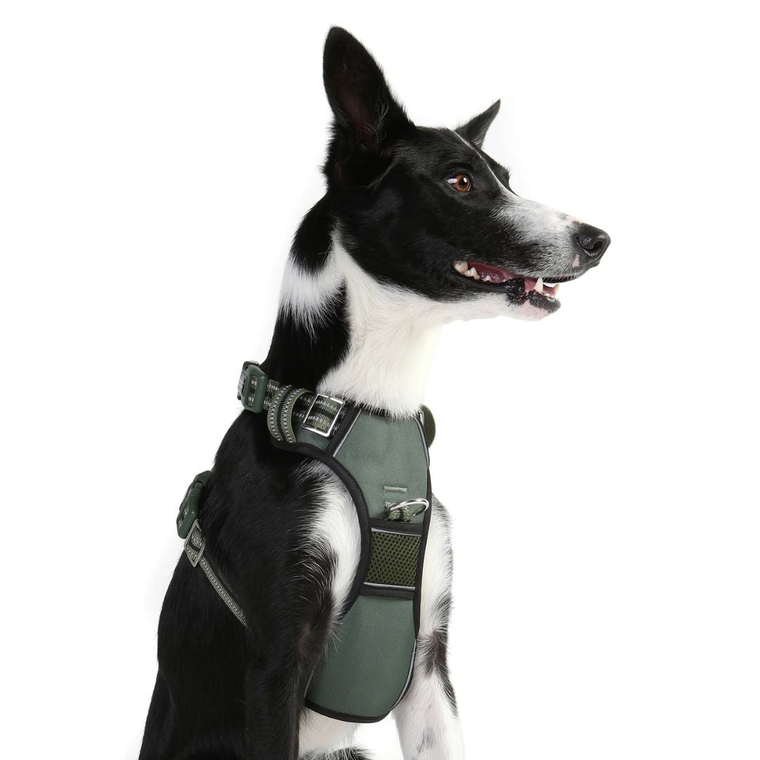 Doog Neotech Dog Harness - Green | PeekAPaw Pet Supplies