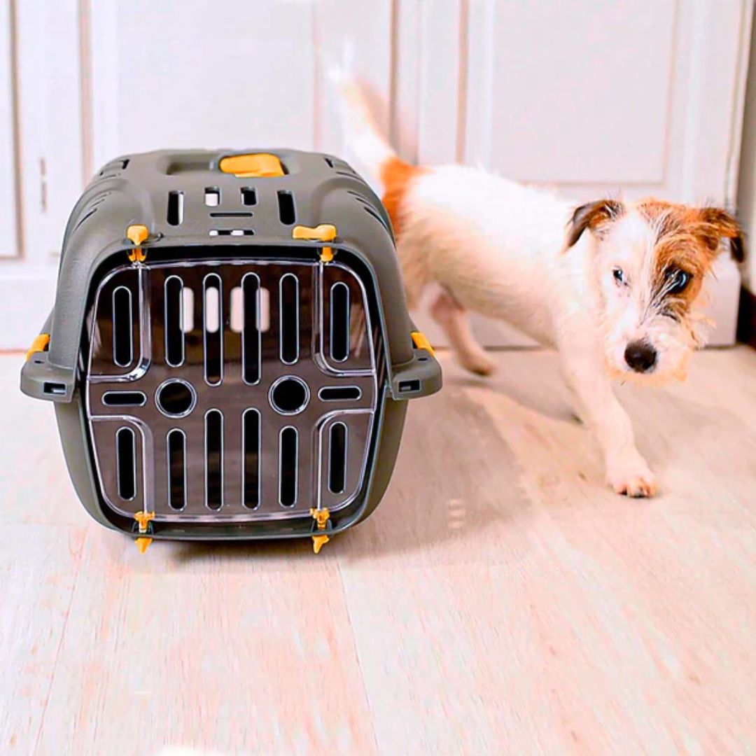 Ferplast JET Pet Carrier for Cats and Small Dogs - JET 10 | PeekAPaw Pet Supplies