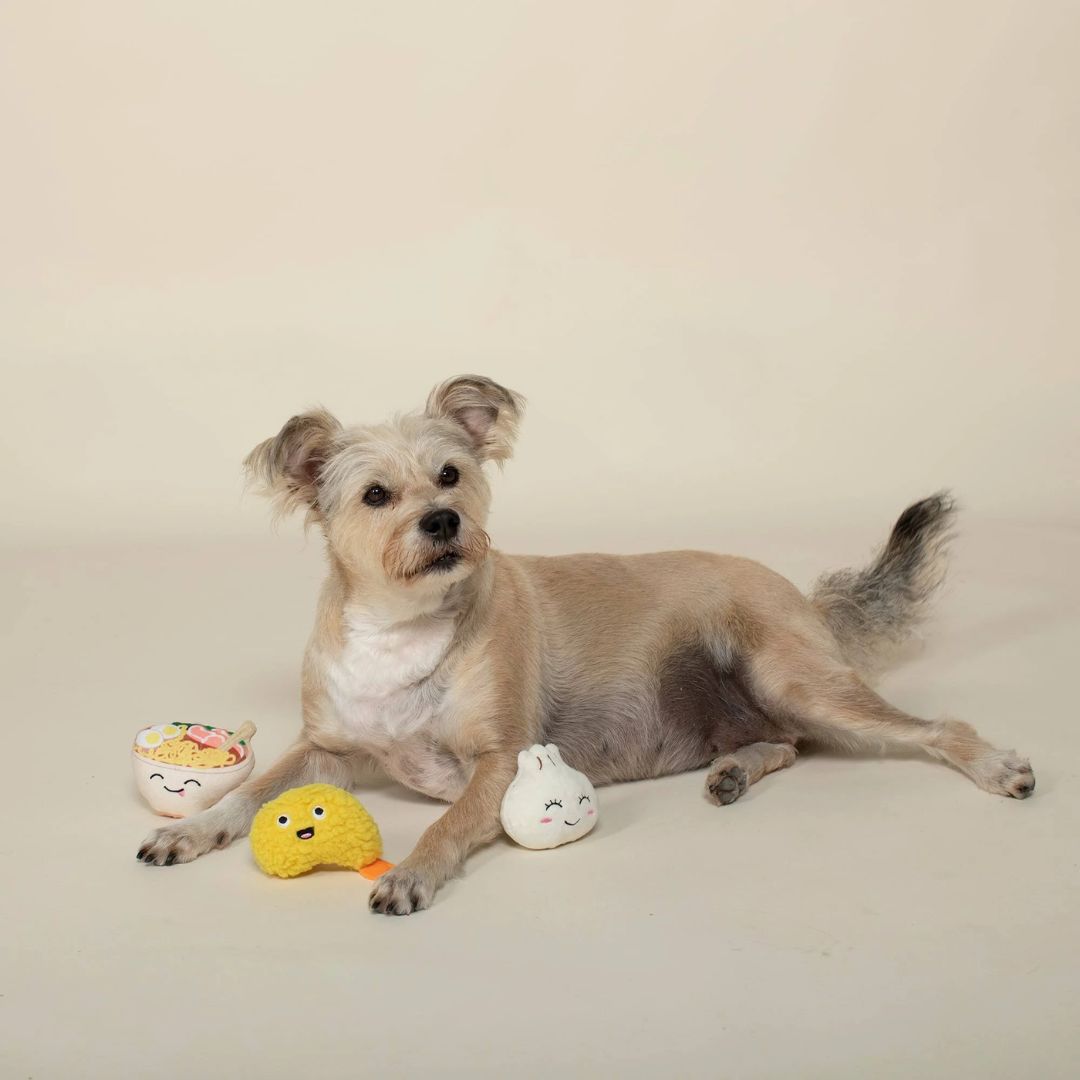 Fringe Studio Plush Squeaker Dog Toy - Soy Into You | PeekAPaw Pet Supplies