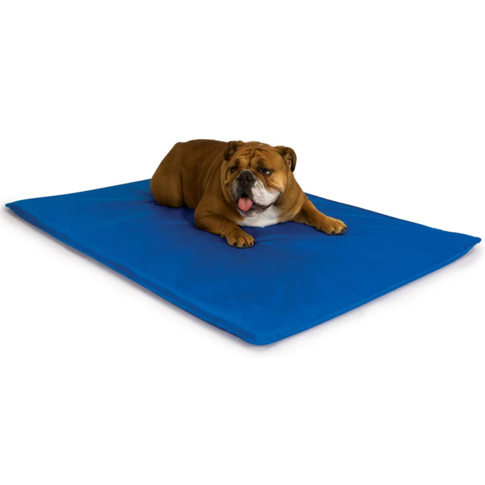 K&H Cool Bed III Cooling Dog Bed