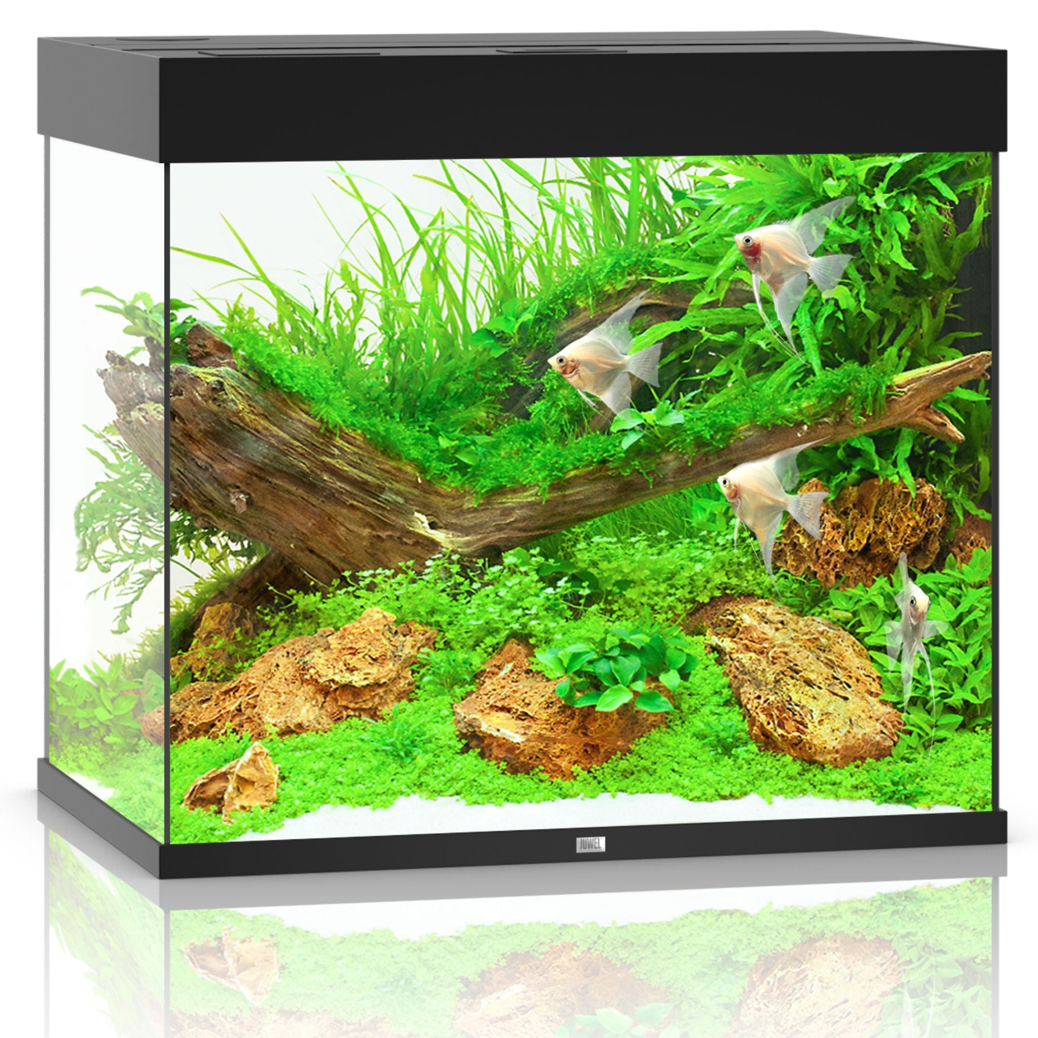 Juwel Lido LED Aquarium 120L