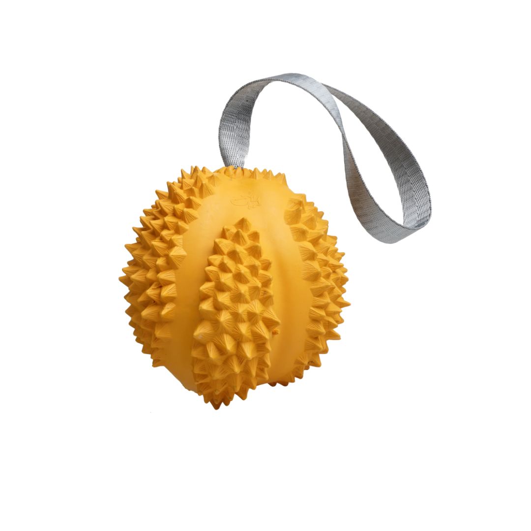 Petopia Ultra Tough Dog Toy Durable Durian - S | PeekAPaw Pet Supplies
