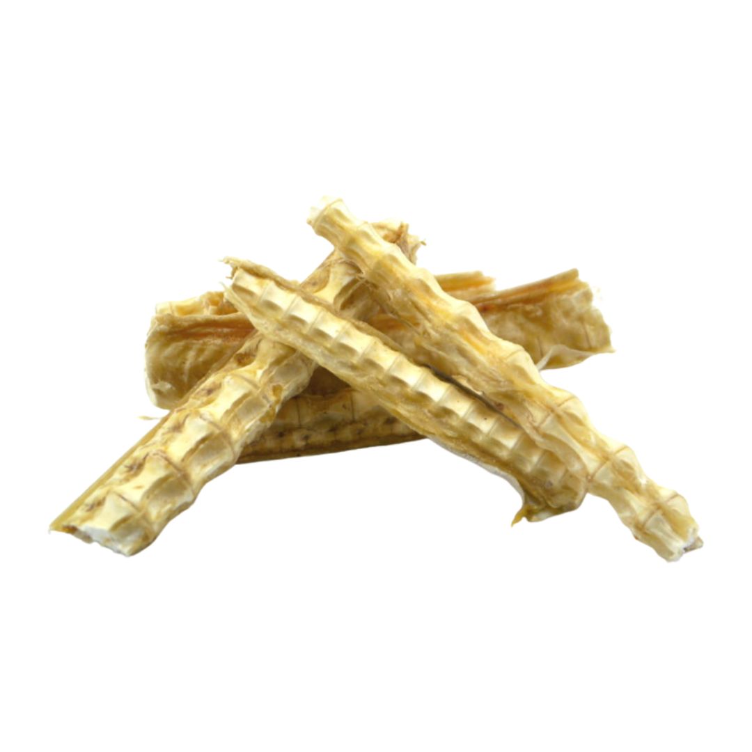 Bark & Beyond Shark Cartilage | PeekAPaw Pet Supplies