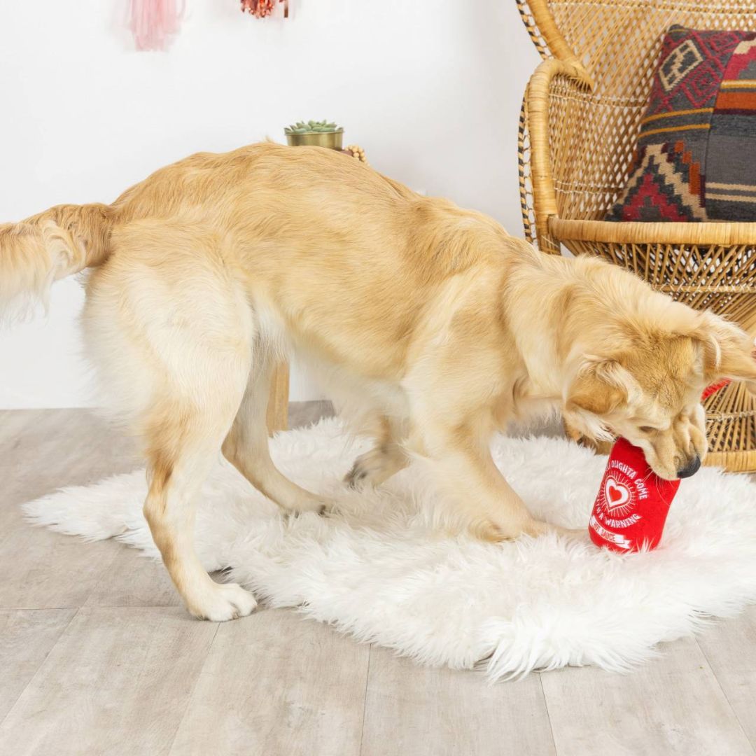 Fringe Studio Rope & Plush Squeaker Valentine's Day Dog Toy - Hearts On Fire | PeekAPaw Pet Supplies