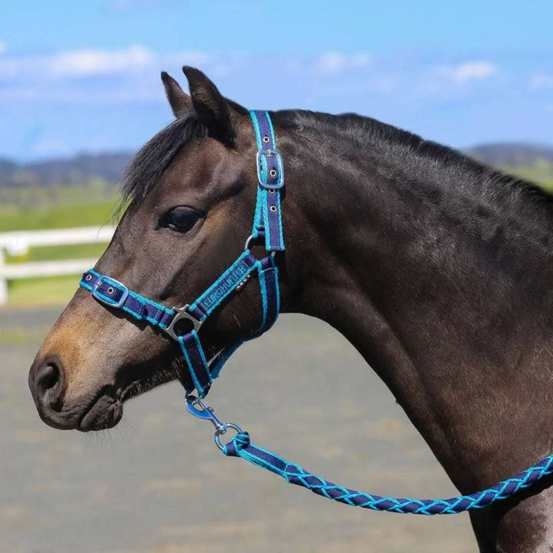 Anipal Pacific Ocean Comfort Halter & Lead Set
