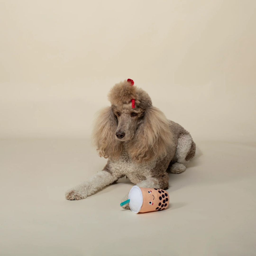 Fringe Studio Plush Squeaker Dog Toy - It's Boba Time | PeekAPaw Pet Supplies