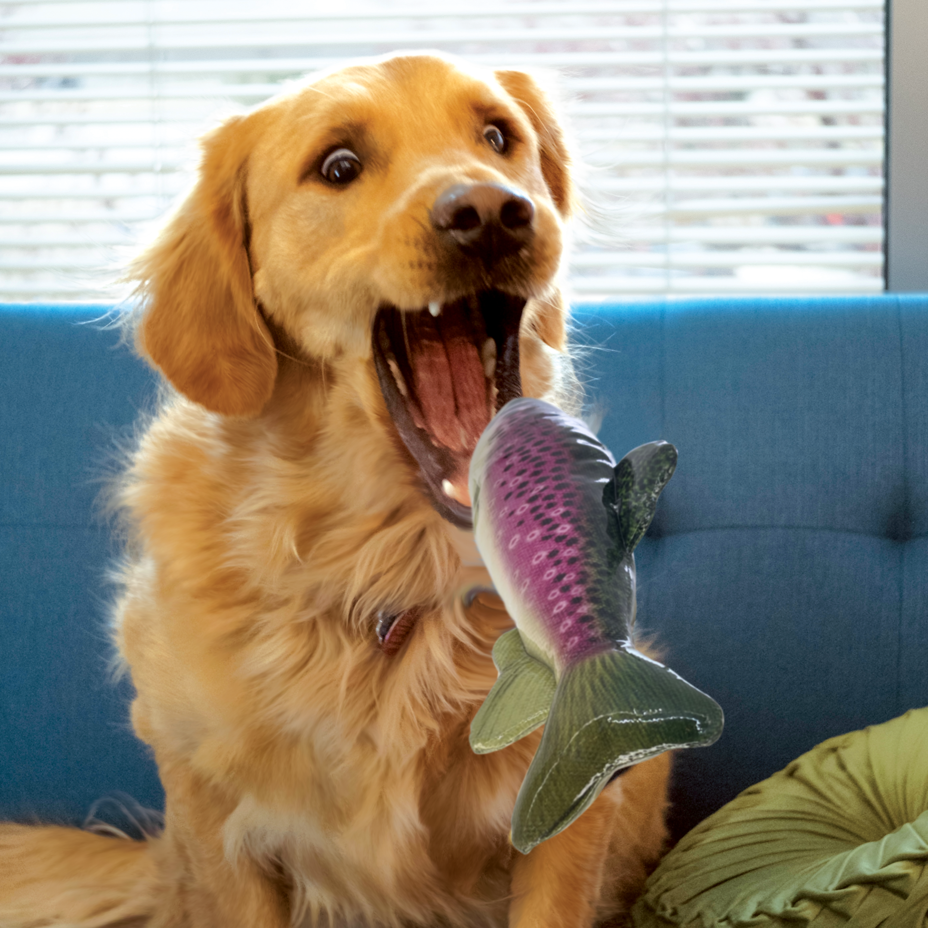 Dog using the KONG Dog Toys Wild Shieldz Trout