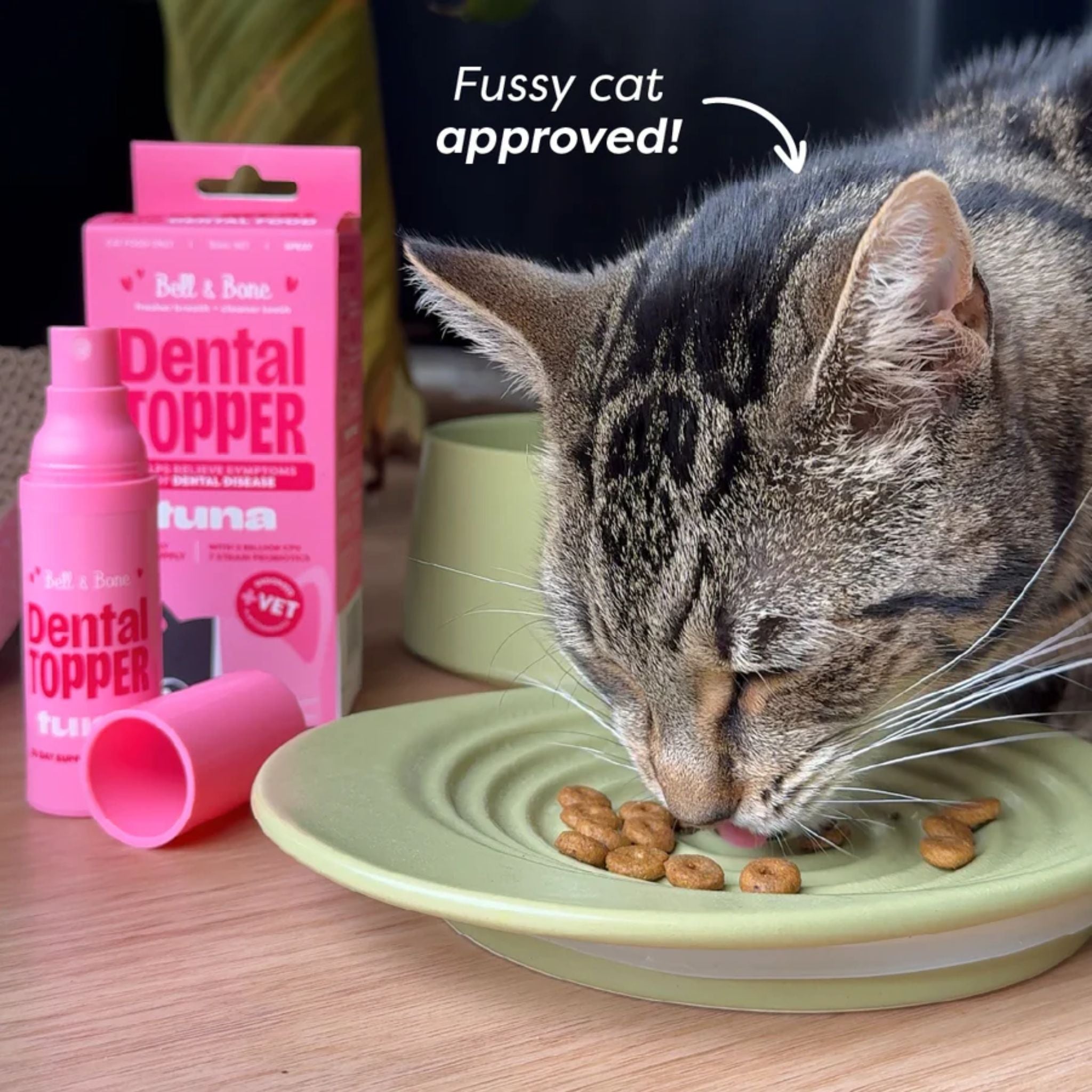 Bell and Bone Cat Dental Topper - Tuna