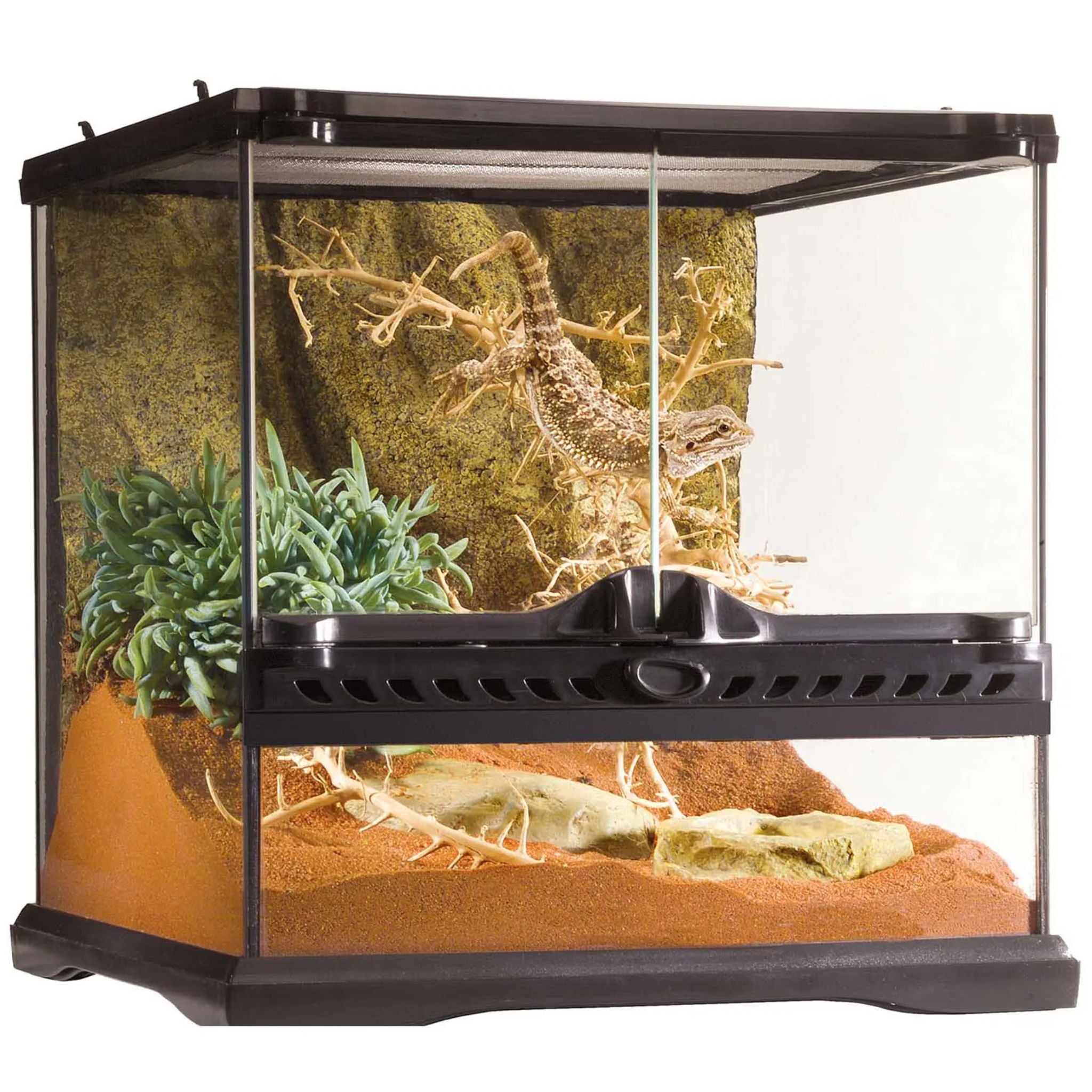 Exo Terra Natural Terrariums