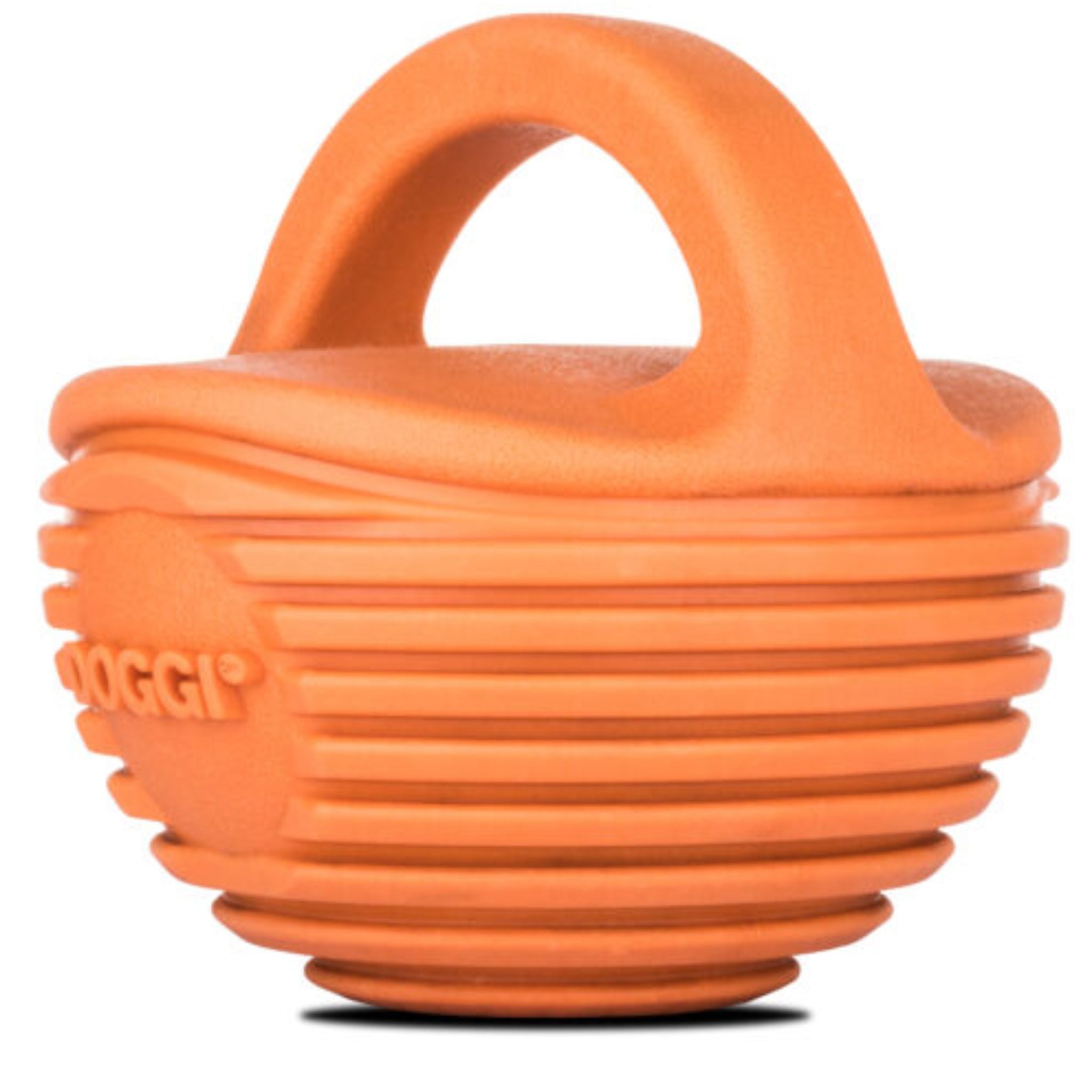 Doggi Catch & Carry Ball Dog Toy