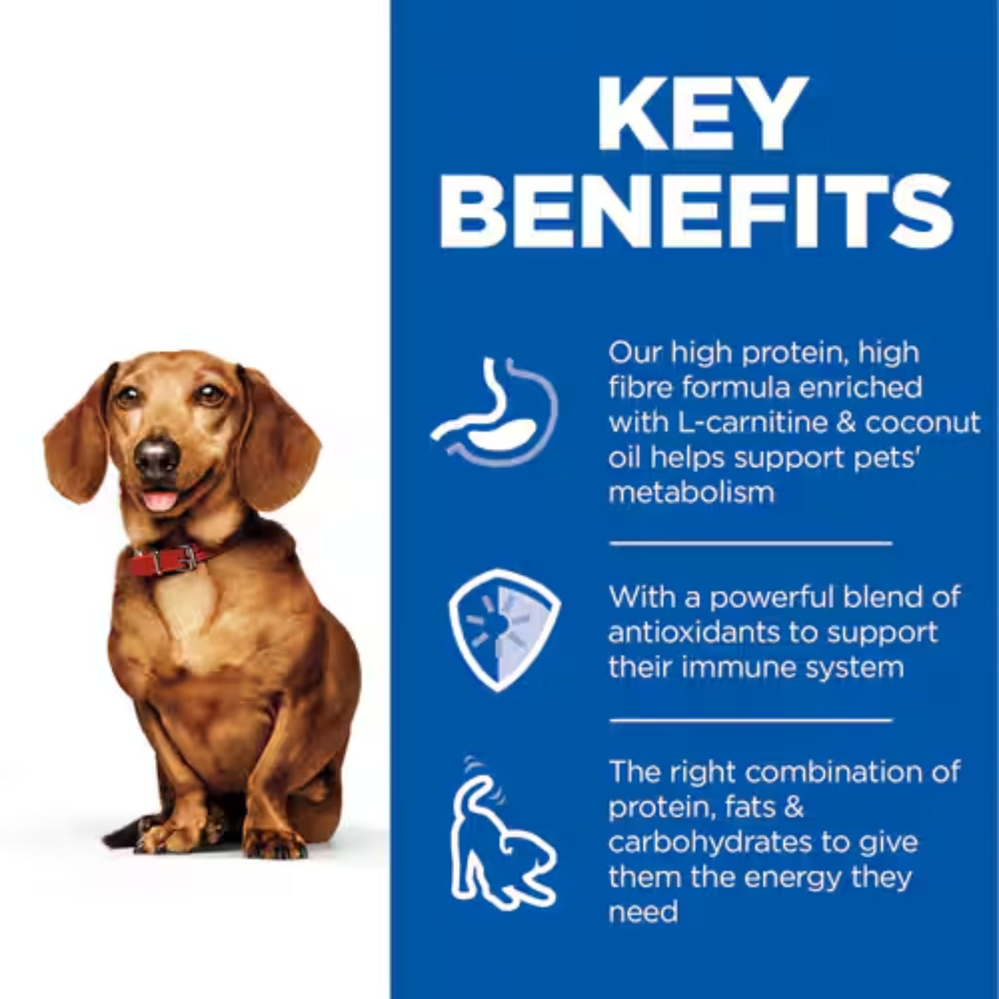 Hill's Science Diet Perfect Weight Adult Small & Mini Dog Mousse with Turkey