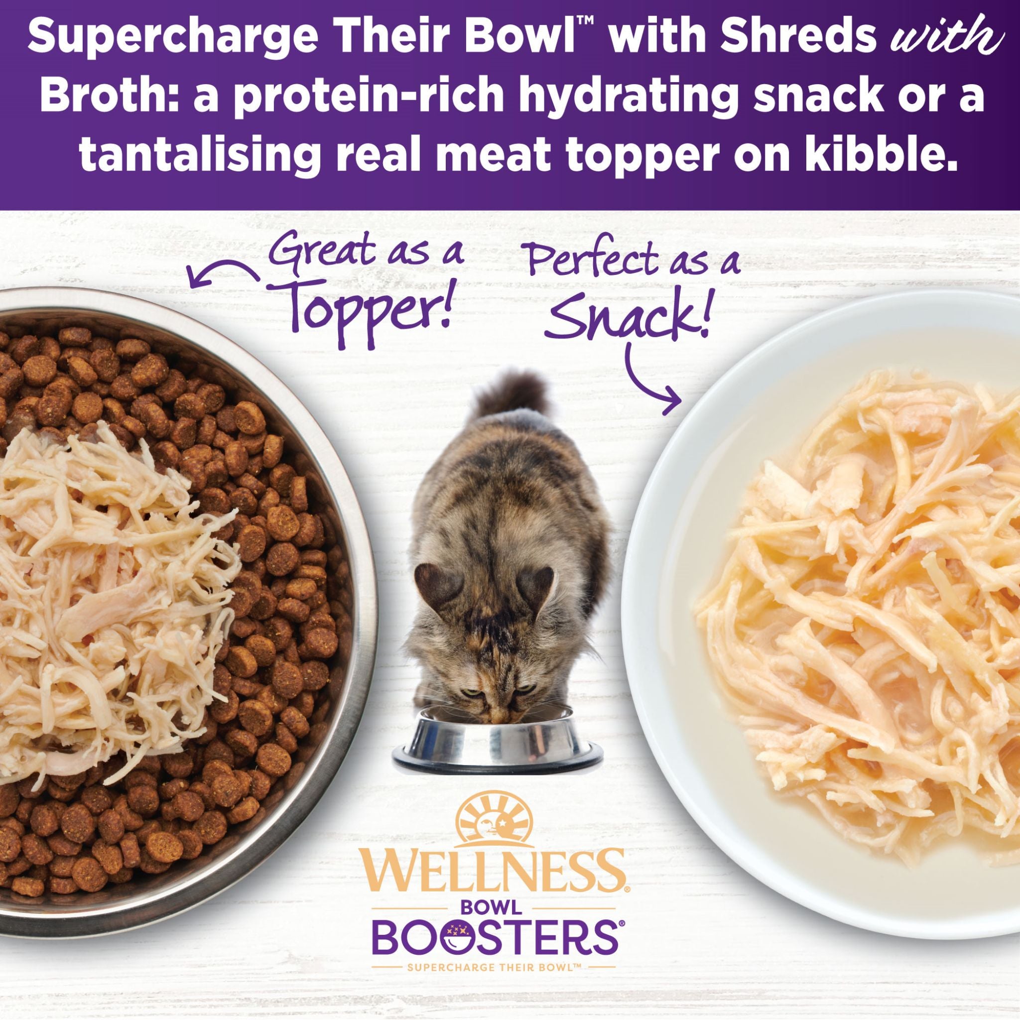Wellness Core Wet Cat Food Topper Simply Shreds Shredded Boneless Chicken