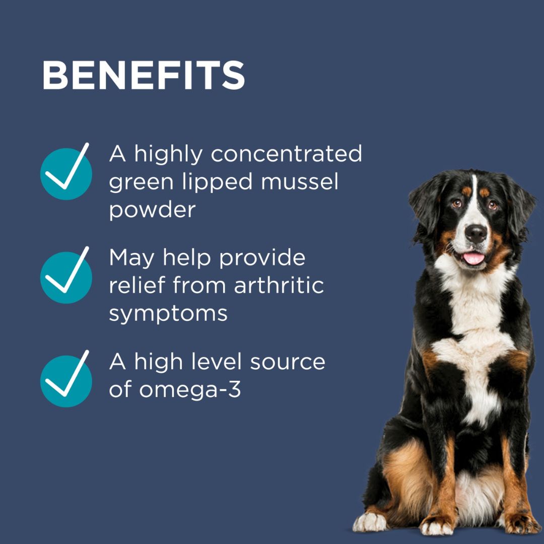 PAW by Blackmores OsteoSupport Joint Care Powder for Dogs