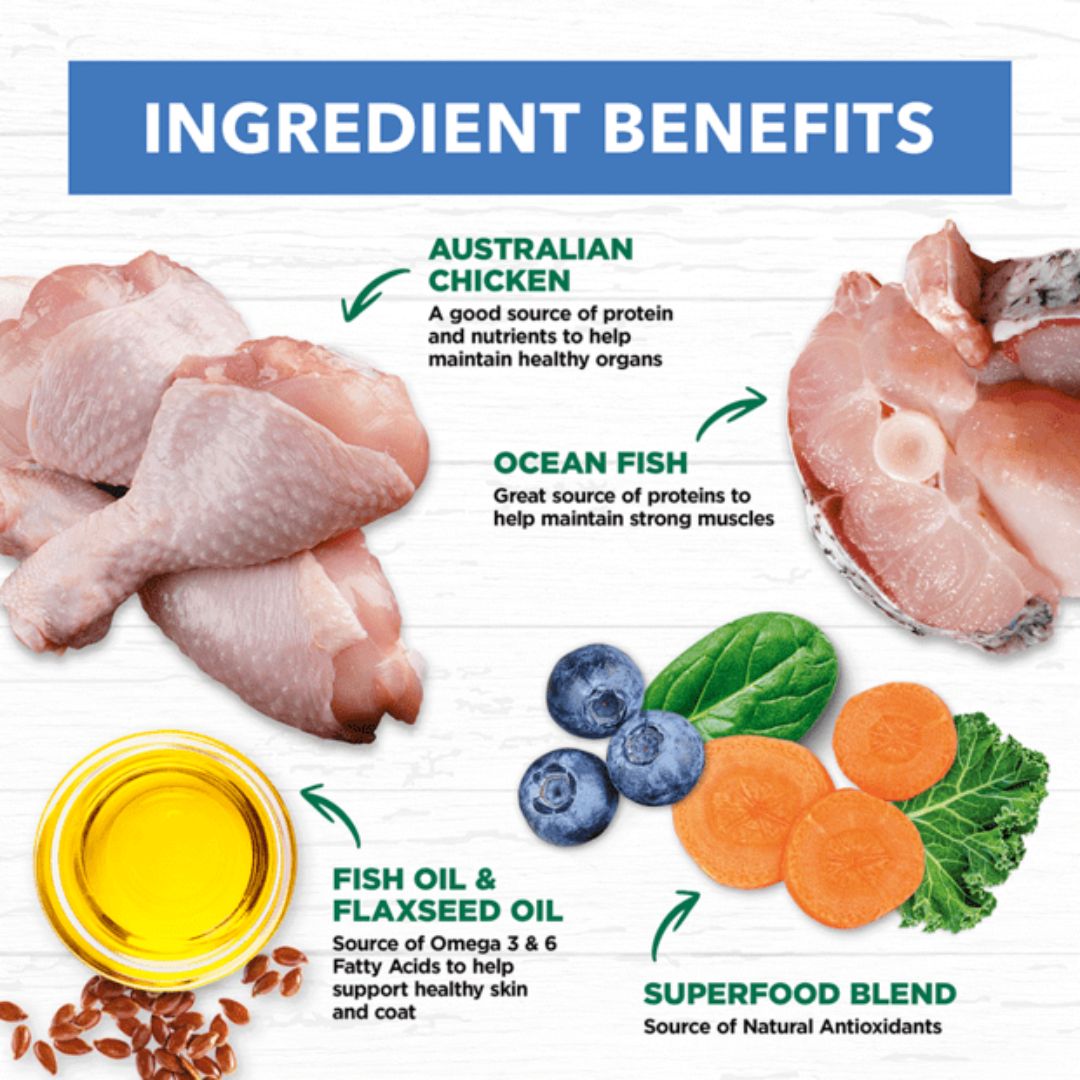 Ivory Coat Grain Free Mature Adult Wet Cat Food Chicken & Ocean Fish in Gravy