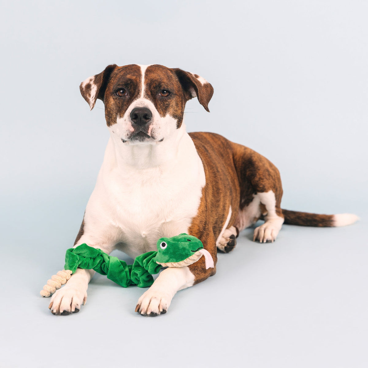 Fringe Studio Tug Dog Toy - Hisses & Kisses — detail