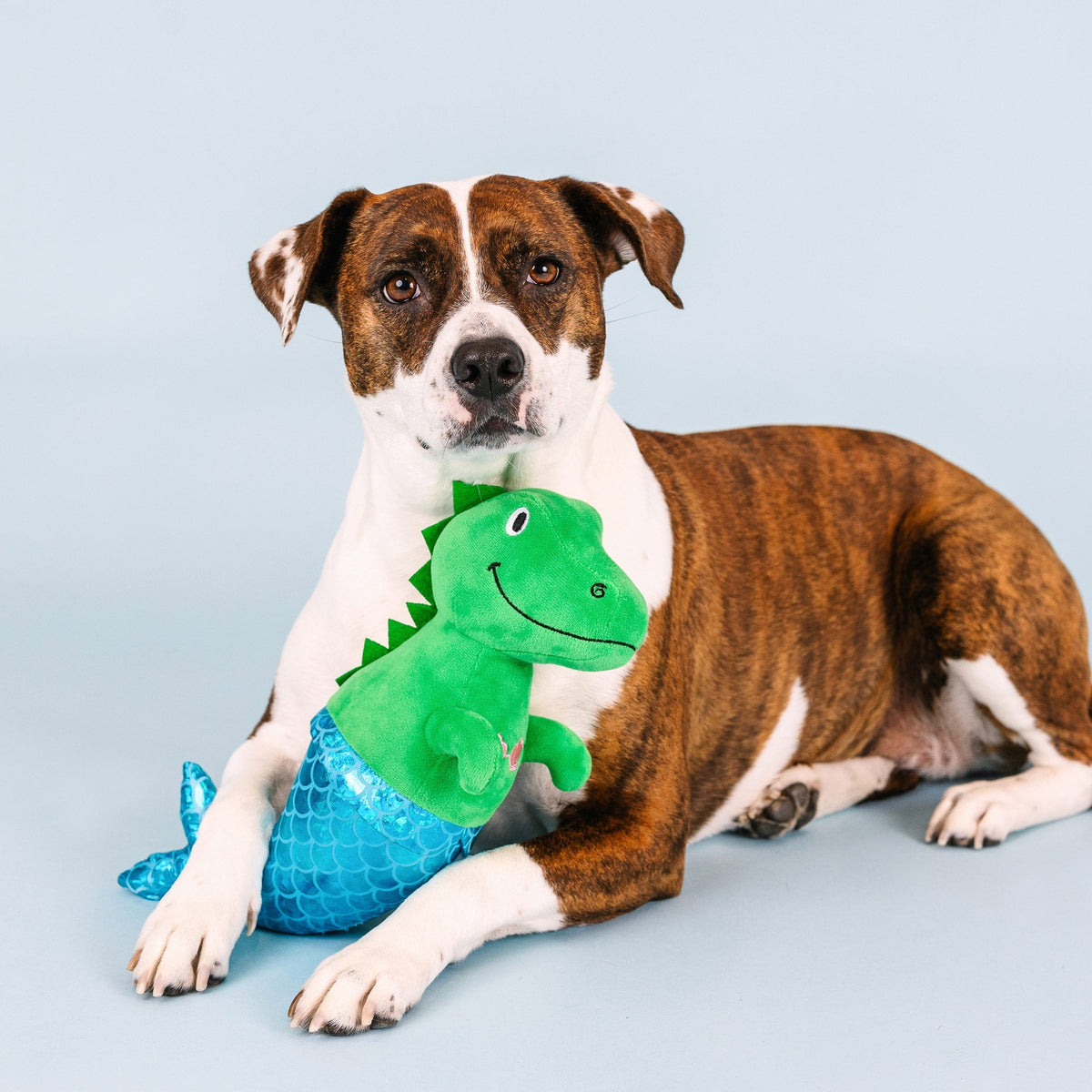 Fringe Studio Plush Squeaker Dog Toy - Mer Rex — detail