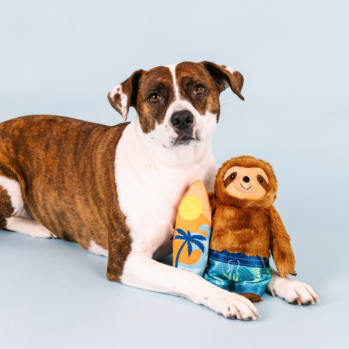 Fringe Studio Plush Squeaker Dog Toy - Makin' Waves — detail