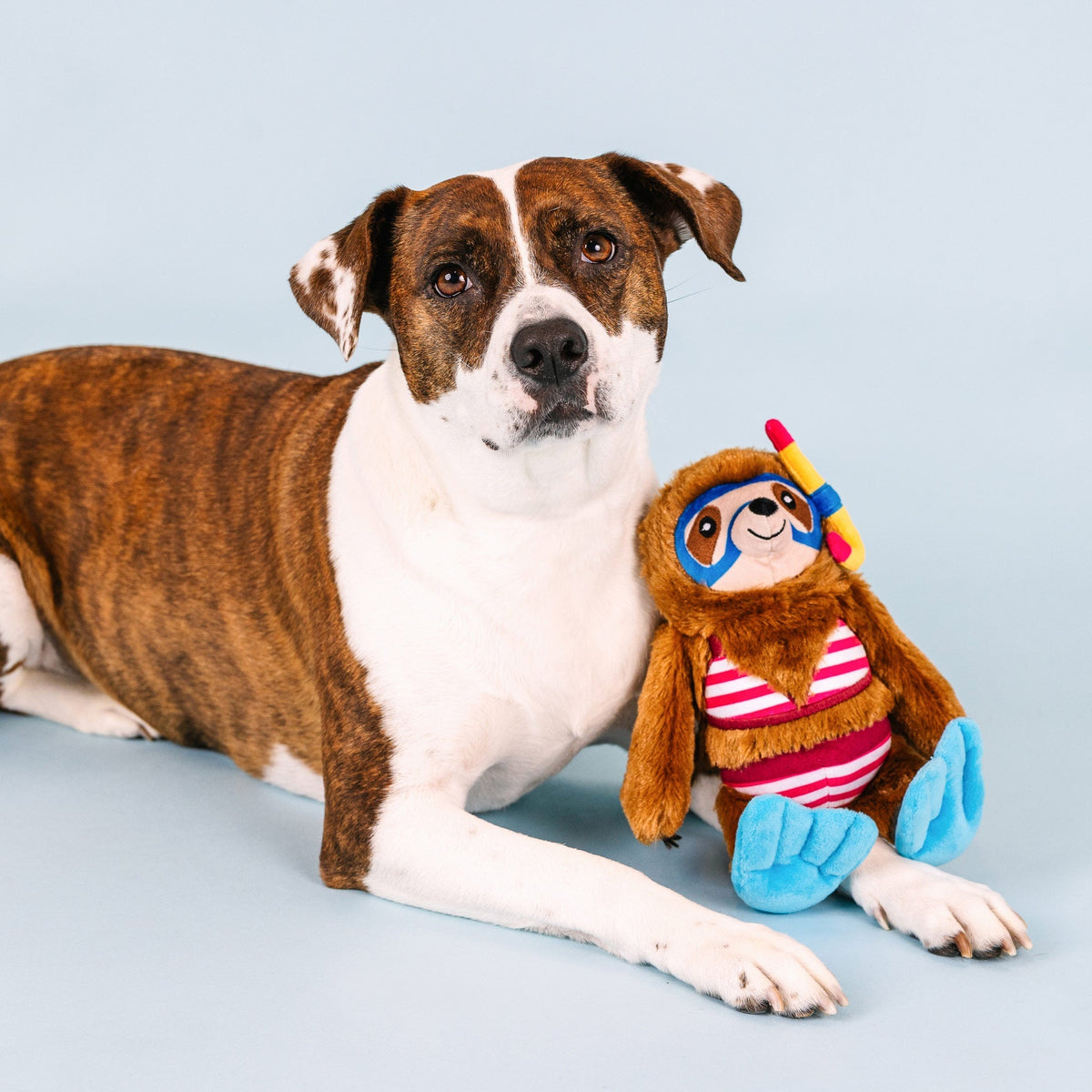 Fringe Studio Plush Squeaker Dog Toy - Swimin' with The Fishes — detail
