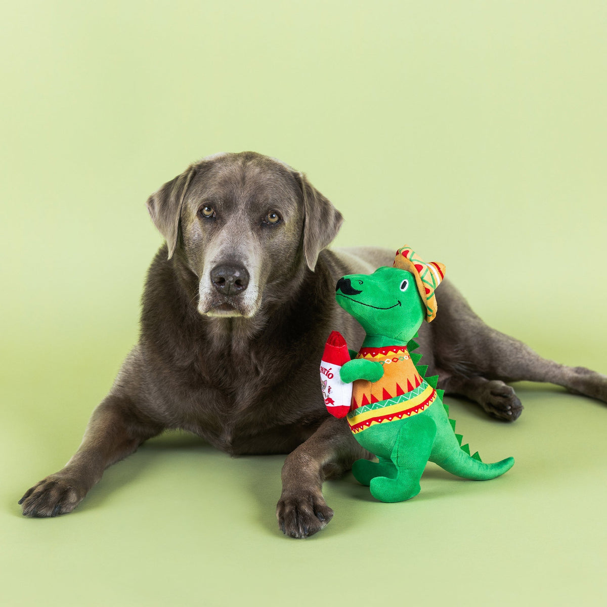 Fringe Studio Large Plush Dog Toy - Fiesta Saurus Rex — detail