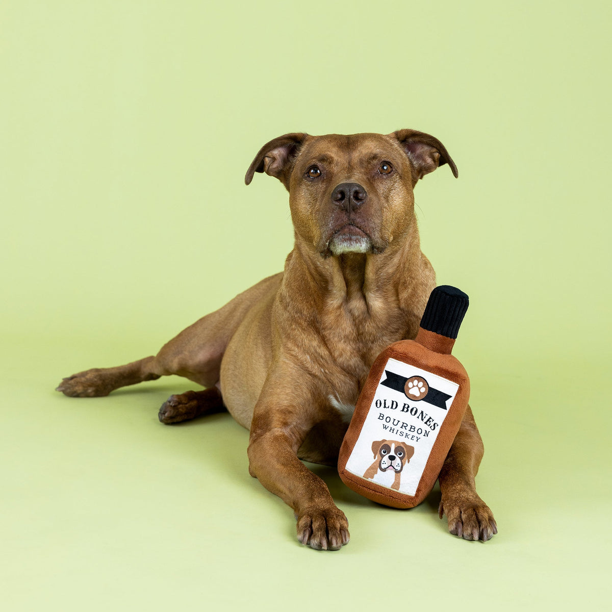 Fringe Studio Plush Squeaker Dog Toy - Old Bones Whiskey — detail