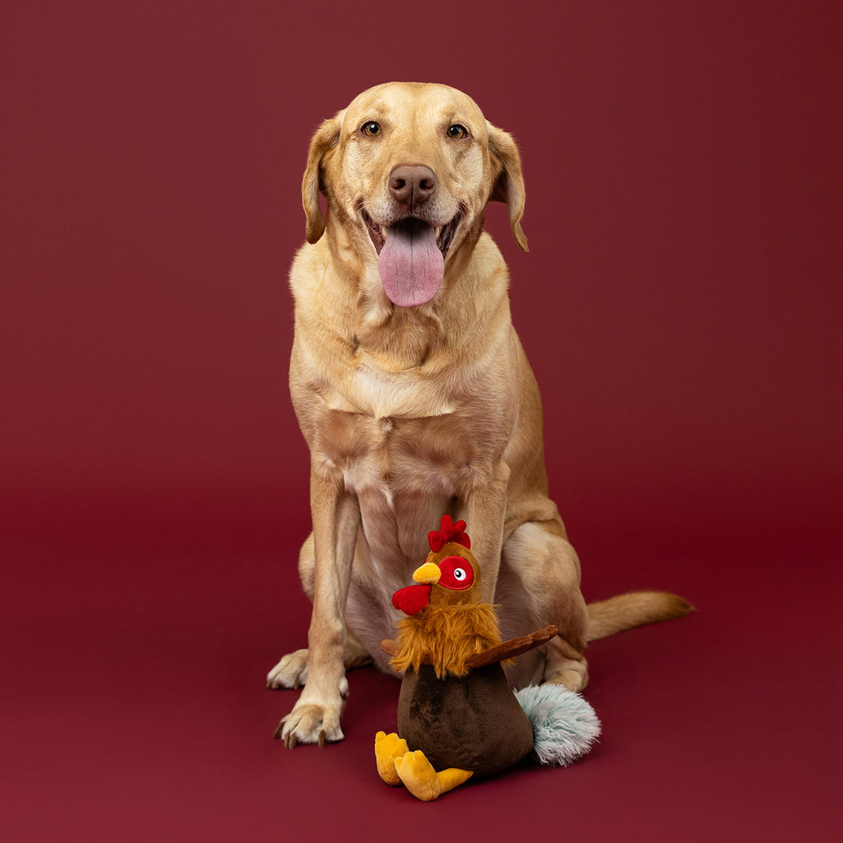 Fringe Studio Plush Squeaker Dog Toy - Roost and Repeat — lifestyle photo with dog
